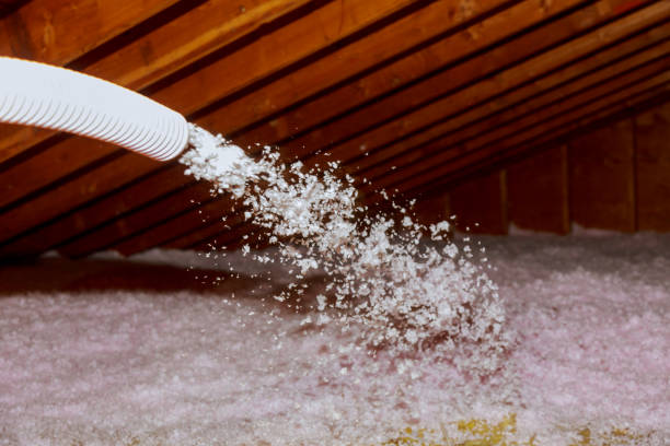 Best Best Insulation Companies  in Huntertown, IN